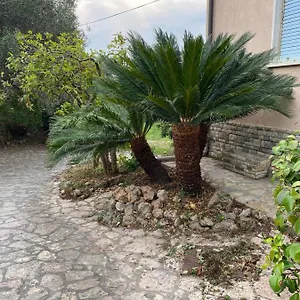 Il Giardino Delle Cycas , Romito Magra Italia